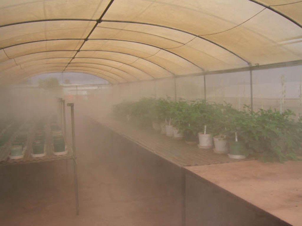 greenhouse fogger