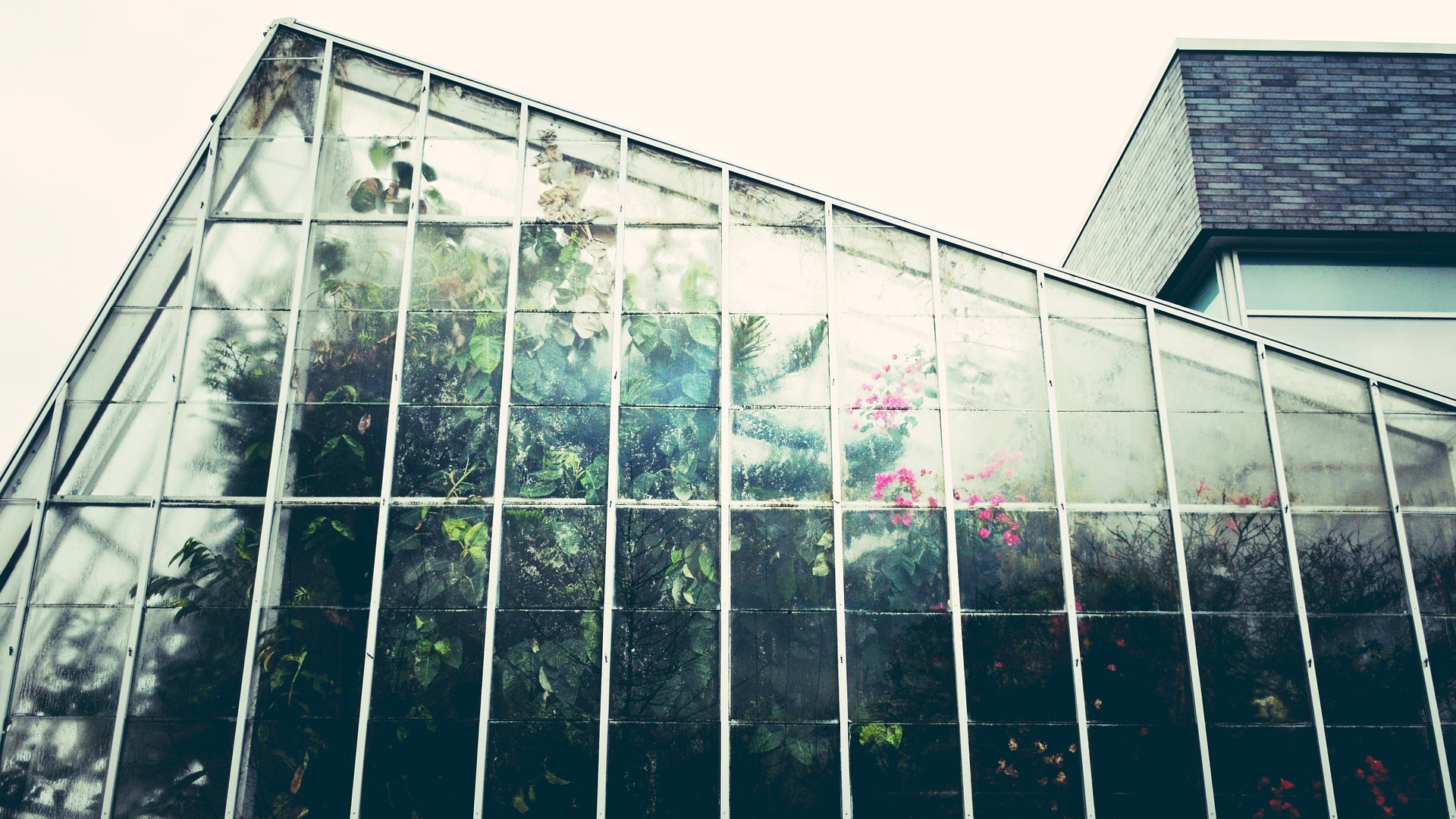 These Innovative Greenhouses Help Farmers Grow Crops in the Desert