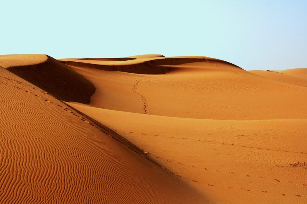 desert