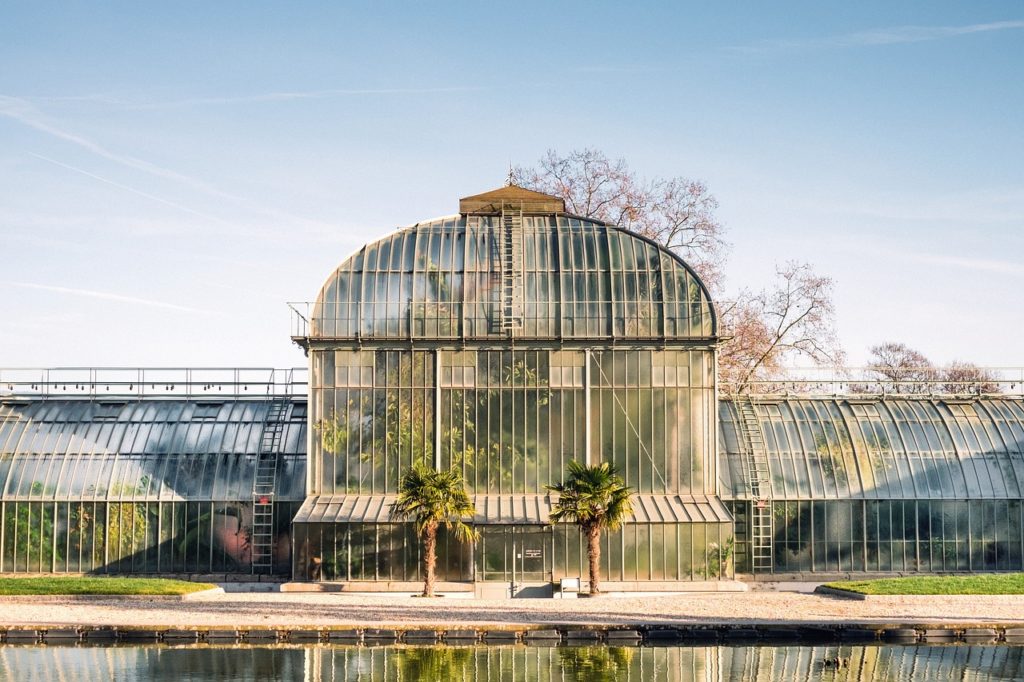 greenhouse