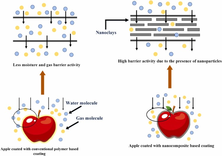 A Look at Nanoclay and Its Potential to Offer Food Security